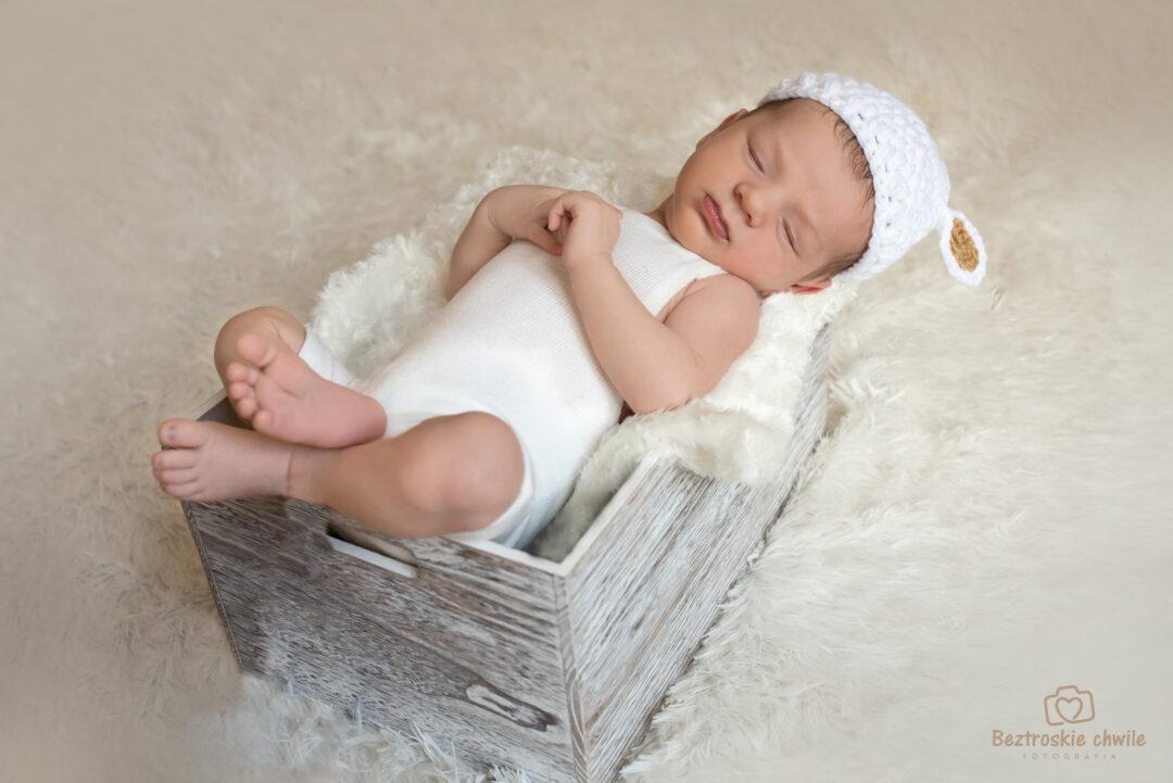 Hugo www (5)