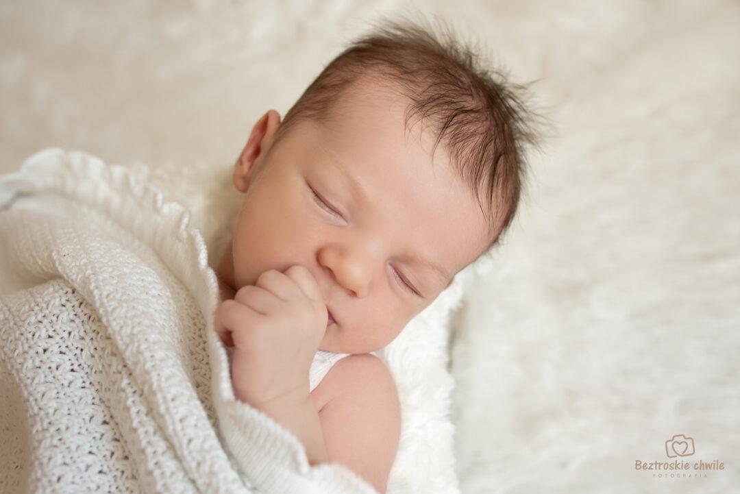 Hugo www (6)